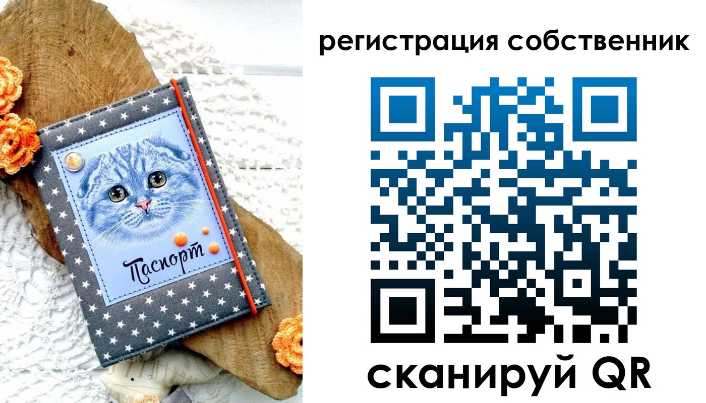 прописка для работы в Бикине